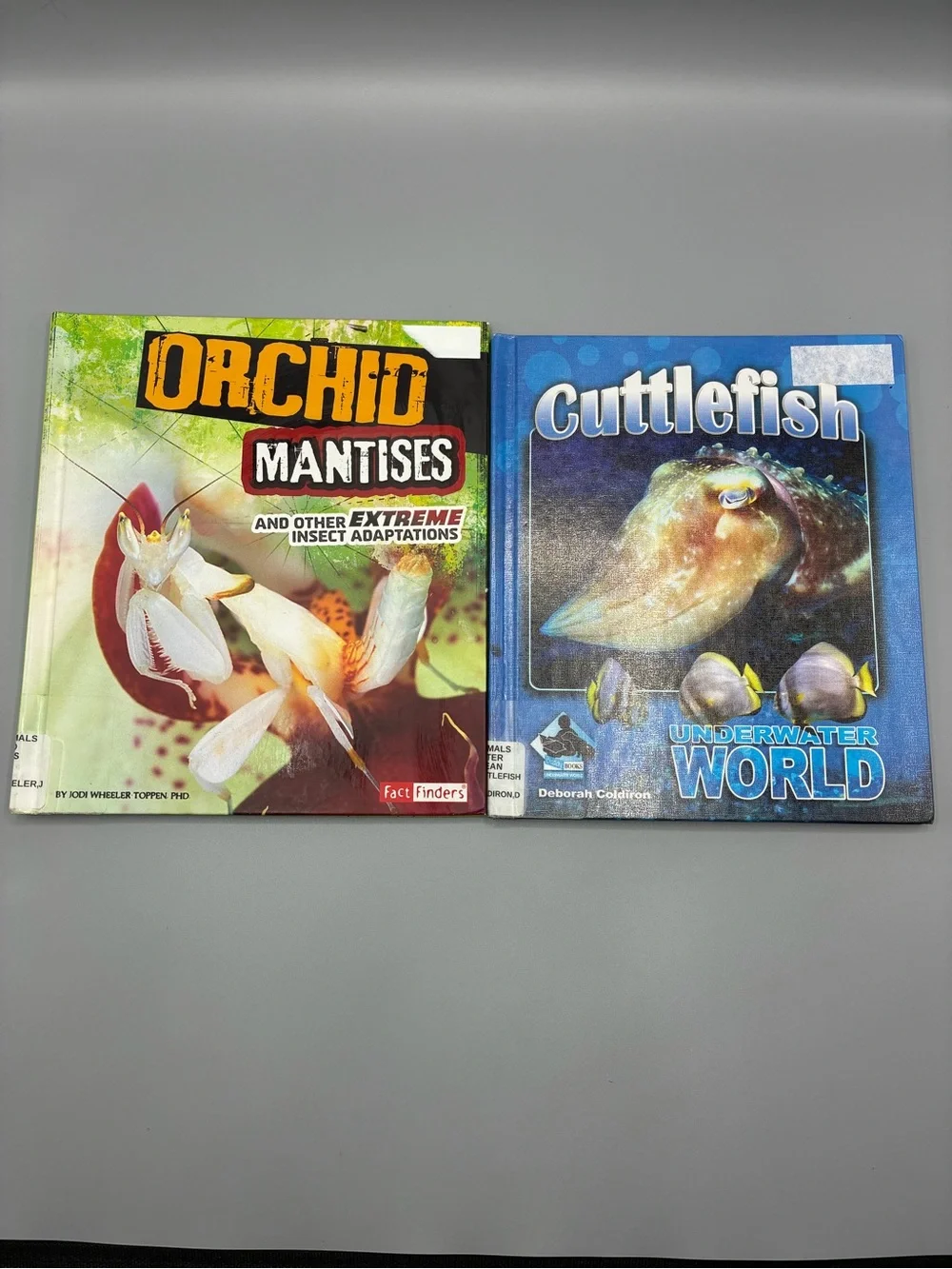 3/$10 Orchid Mantises and Cutttlefiah Underwater World Educational Books